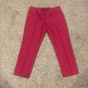 Chic Fuchsia Pink  Pants